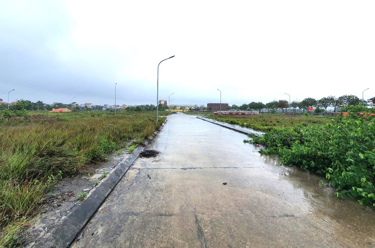 Nghị định số 10/NĐ-CP được kỳ vọng sẽ ngăn chặn được tình trạng đầu cơ, "thổi giá" đất đấu giá và bỏ cọc.