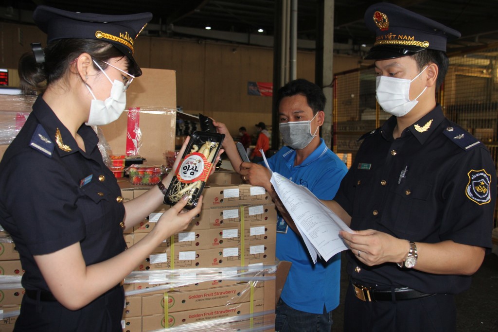 Công chức hải quan khi thực thi công vụ vi phạm trong lĩnh vực chấp hành kỷ cương, kỷ luật sẽ bị xem xét xử lý. Ảnh minh họa. 