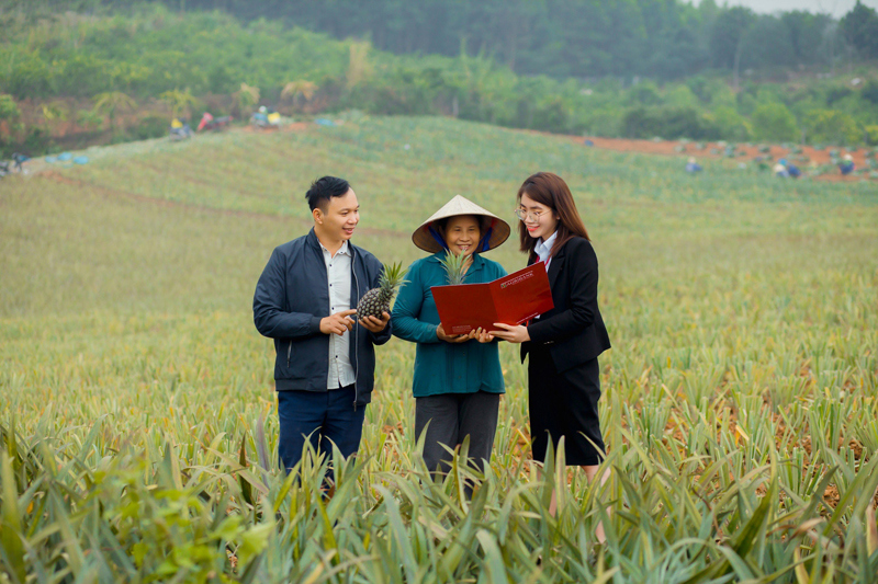Qua 35 năm hình thành và phát triển, Agribank luôn tiên phong, dẫn đầu trong các chương trình tín dụng chính sách về cho vay lĩnh vực của ngành nông nghiệp. Nguồn: Agribank