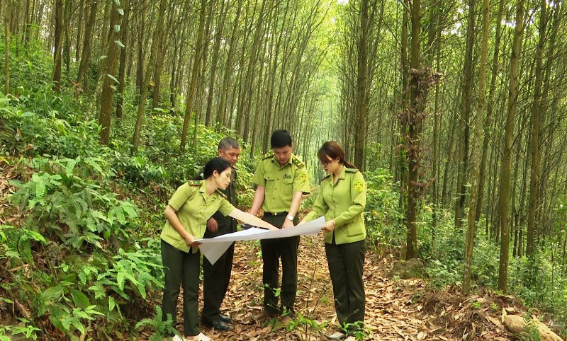Kinh phí sự nghiệp từ ngân sách nhà nước sẽ chi hỗ trợ quản lý, bảo vệ rừng đặc dụng. Ảnh: internet