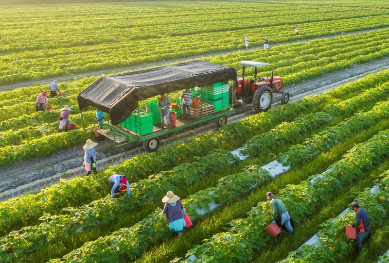 Ảnh minh họa. Nguồn: Tạp chi Kinh tế và Dự báo