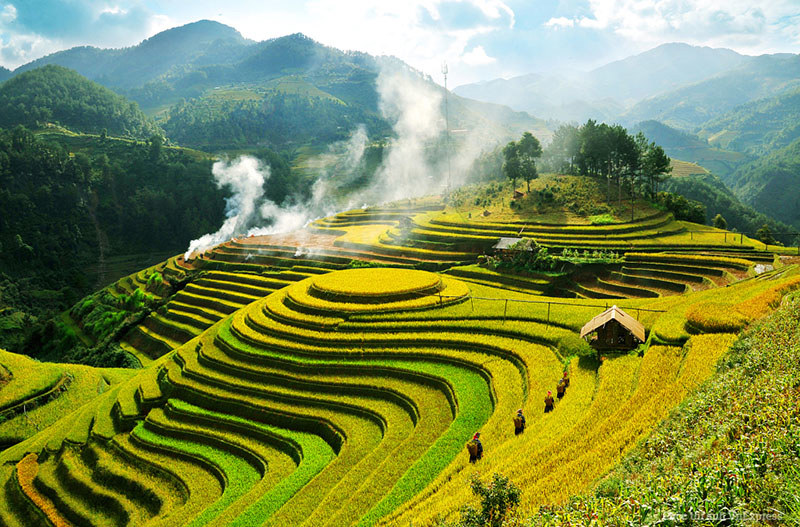 Ảnh minh họa. Nguồn: Internet