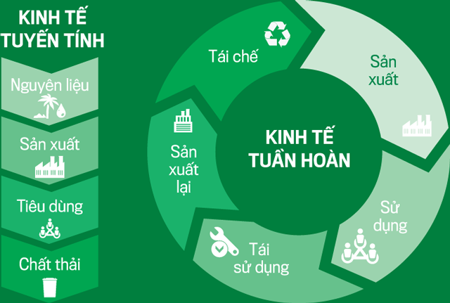 Ảnh minh họa, nguồn: Internet