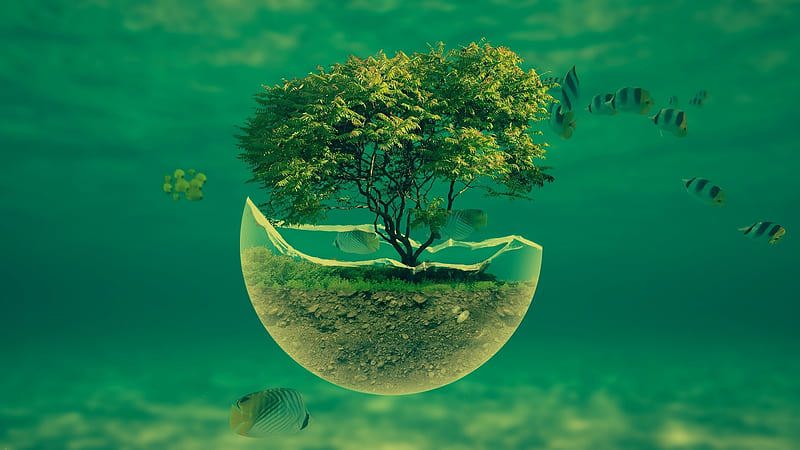 Ảnh minh họa. Nguồn: Internet