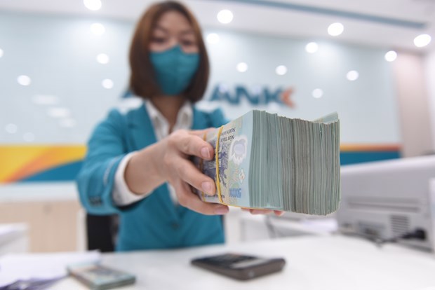 Ảnh minh họa. Nguồn: VietnamPlus