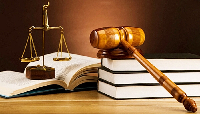 Tăng cường kiểm tra, xử lý nghiêm các vi phạm trong xây dựng, ban hành văn bản.