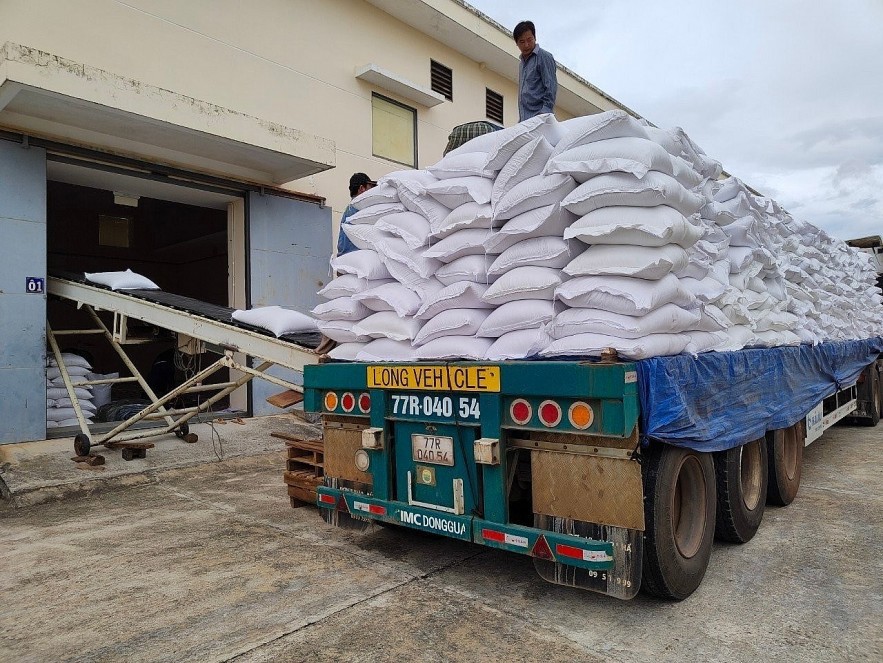 Các Cục DTNN khu vực có kế hoạch triển khai thực hiện nhập, xuất hàng đảm bảo an toàn tuyệt đối về người, tài sản trong mùa mưa bão.
