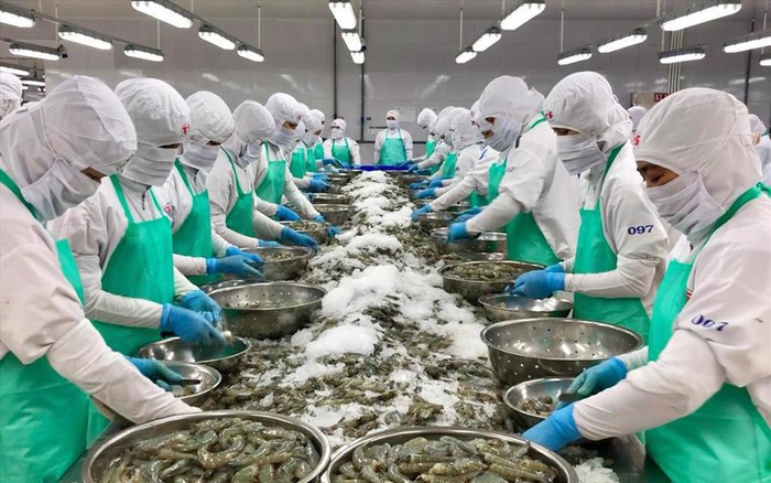Kết quả xuất khẩu thủy sản trong quý III/2023 có khởi sắc so với những tháng đầu năm.