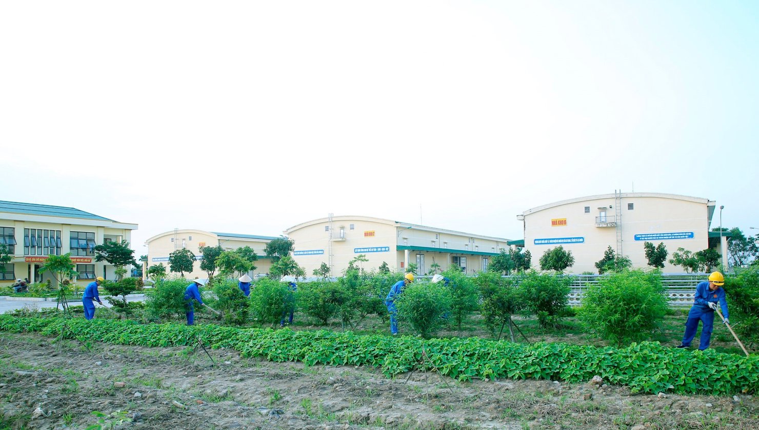 Cán bộ, công chức Cục DTNN khu vực Nghệ Tĩnh luôn duy trì thực hiện tốt phong trào xây dựng vùng kho an toàn, xanh, sạch, đẹp. 