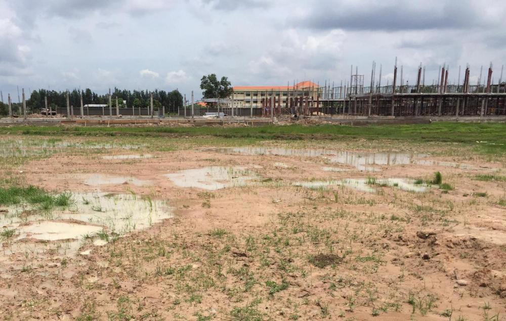 Chấp thuận chuyển mục đích sử dụng đất trồng lúa sang mục đích khác để thực hiện dự án trên địa bàn tỉnh Sóc Trăng. Ảnh minh họa.