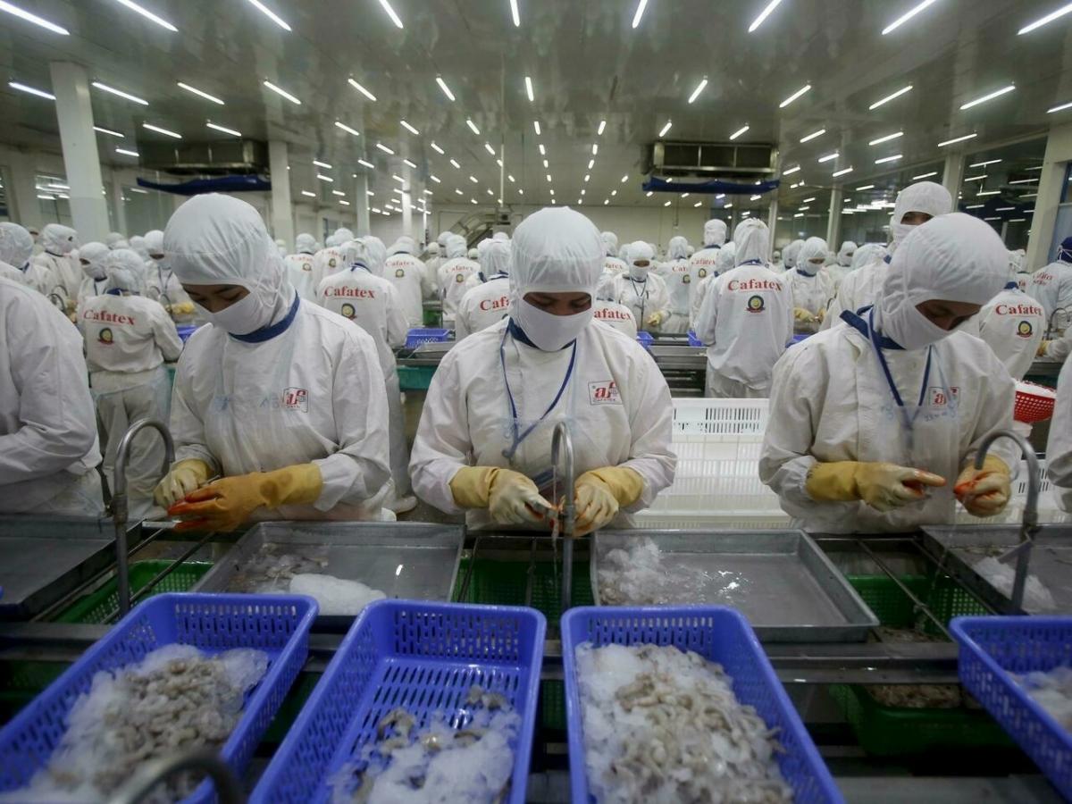 Thủy sản là mặt hàng tiềm năng xuất khẩu sang thị trường khu vực Đông Bắc Á. Trong ảnh: Chế biến thủy sản xuất khẩu ở Công ty CP Thủy sản Cafatex Hậu Giang. 