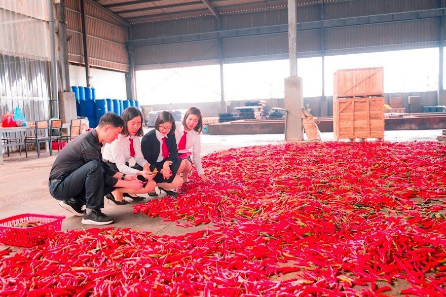 Nguồn vốn Agribank tích cực hỗ trợ phát triển kinh tế nông nghiệp, nông thôn.