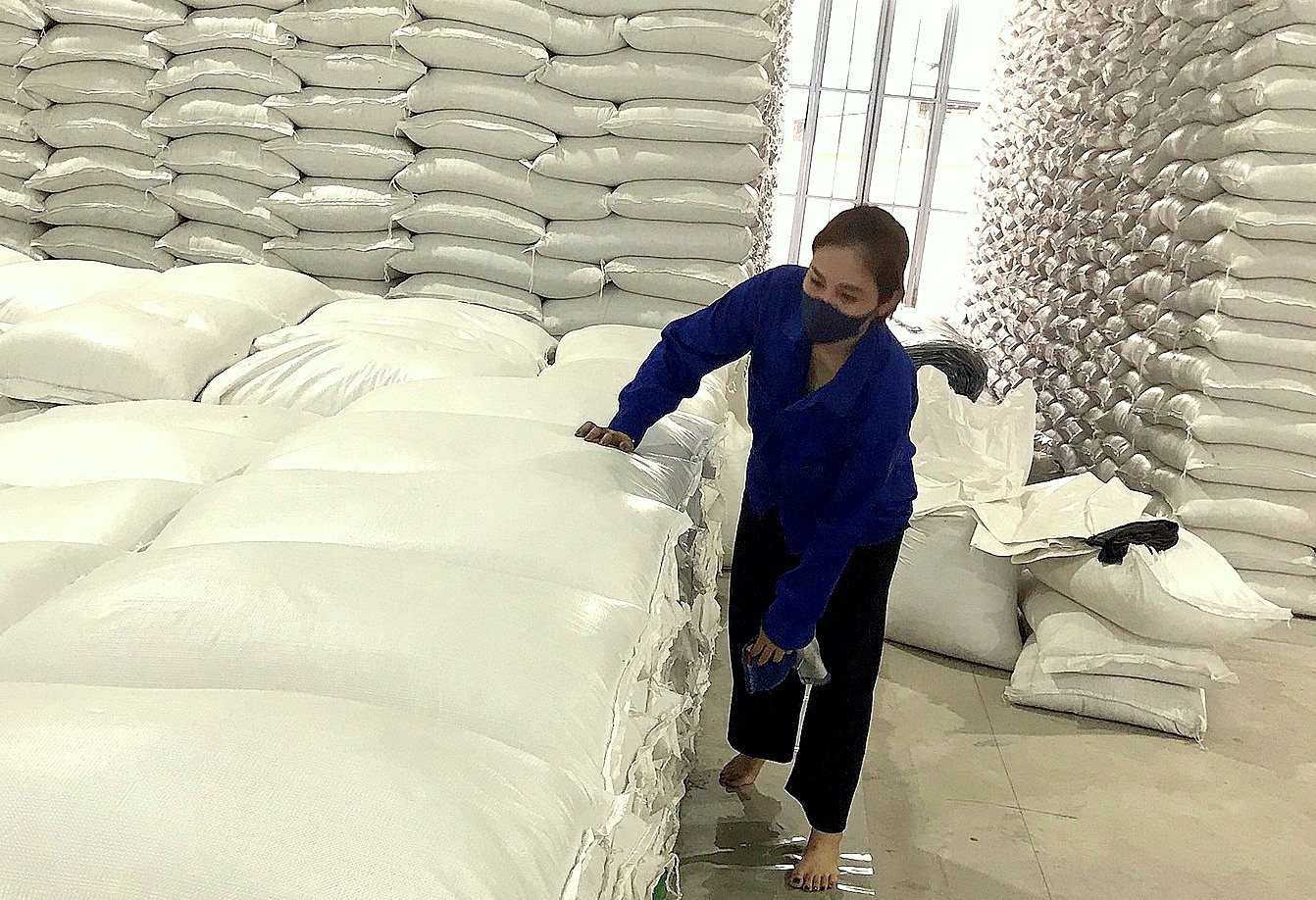 Cục DTNN khu vực Đông Bắc luôn bảo quản tốt hàng DTQG, đảm bảo chất lượng, số lượng.