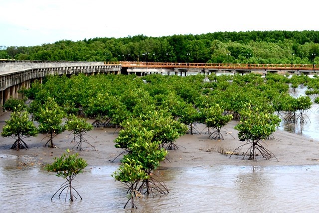 Khi triển khai lồng ghép bảo tồn đa dạng sinh học và ĐNN cần tham khảo ý kiến đóng góp của các chuyên gia có kinh nghiệm để bổ sung, điều chỉnh các nội dung còn khiếm khuyết.