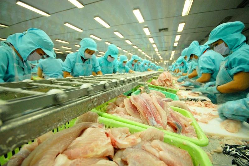 Chế biến cá tra tại Công ty CP Đầu tư và Phát triển đa quốc gia (tỉnh Đồng Tháp). Ảnh: Lê Hoàng Vũ