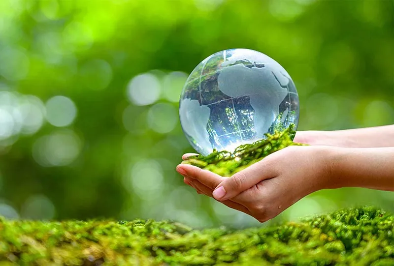 Các cơ quan thuộc Bộ tài chính thực hiện các hoạt động truyền thông phù hợp với điều kiện cụ thể của đơn vị. 
