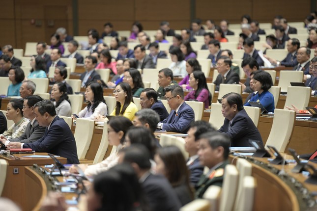 Các đại biểu tại phiên họp.