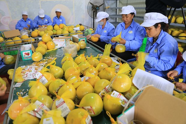 Giá trị xuất khẩu nông lâm thủy sản vào các thị trường đều tăng.