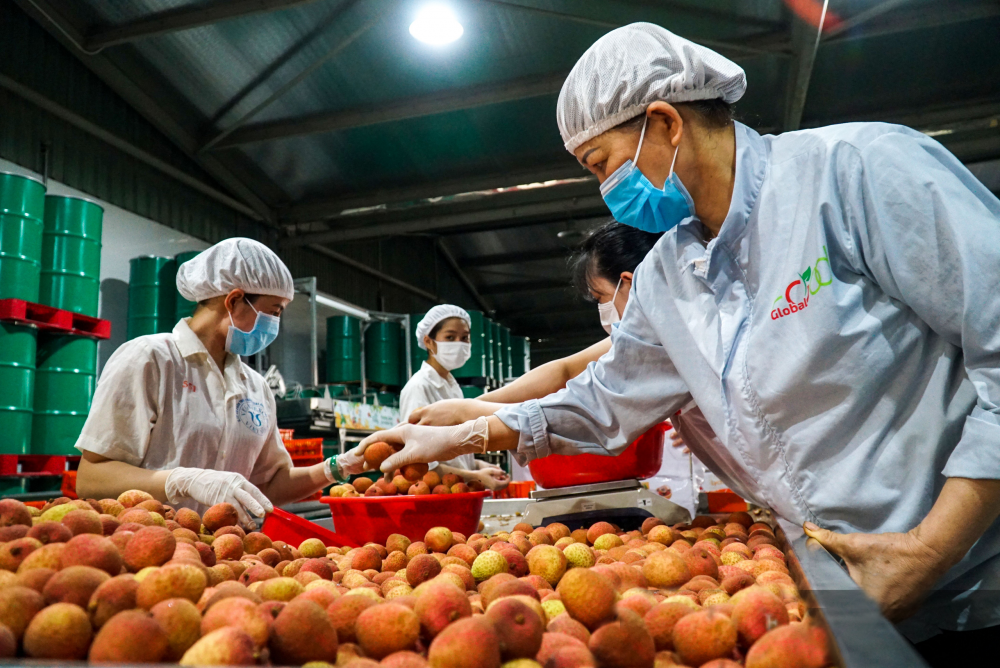 Chất lượng sản phẩm quyết định sự sống còn của doanh nghiệp. Ảnh: Internet