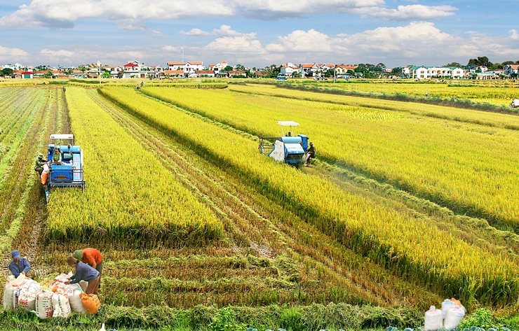 Đề án góp phần giảm giá thành, giảm phát thải và tăng lợi nhuận cho nông dân.