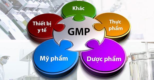 Các ngành nghề liên quan đến lĩnh vực sản xuất, chế biến các sản phẩm phục phụ cho nhu cầu chữa bệnh hoặc hỗ trợ chữa bệnh đều cần phải đạt được tiêu chuẩn GMP.