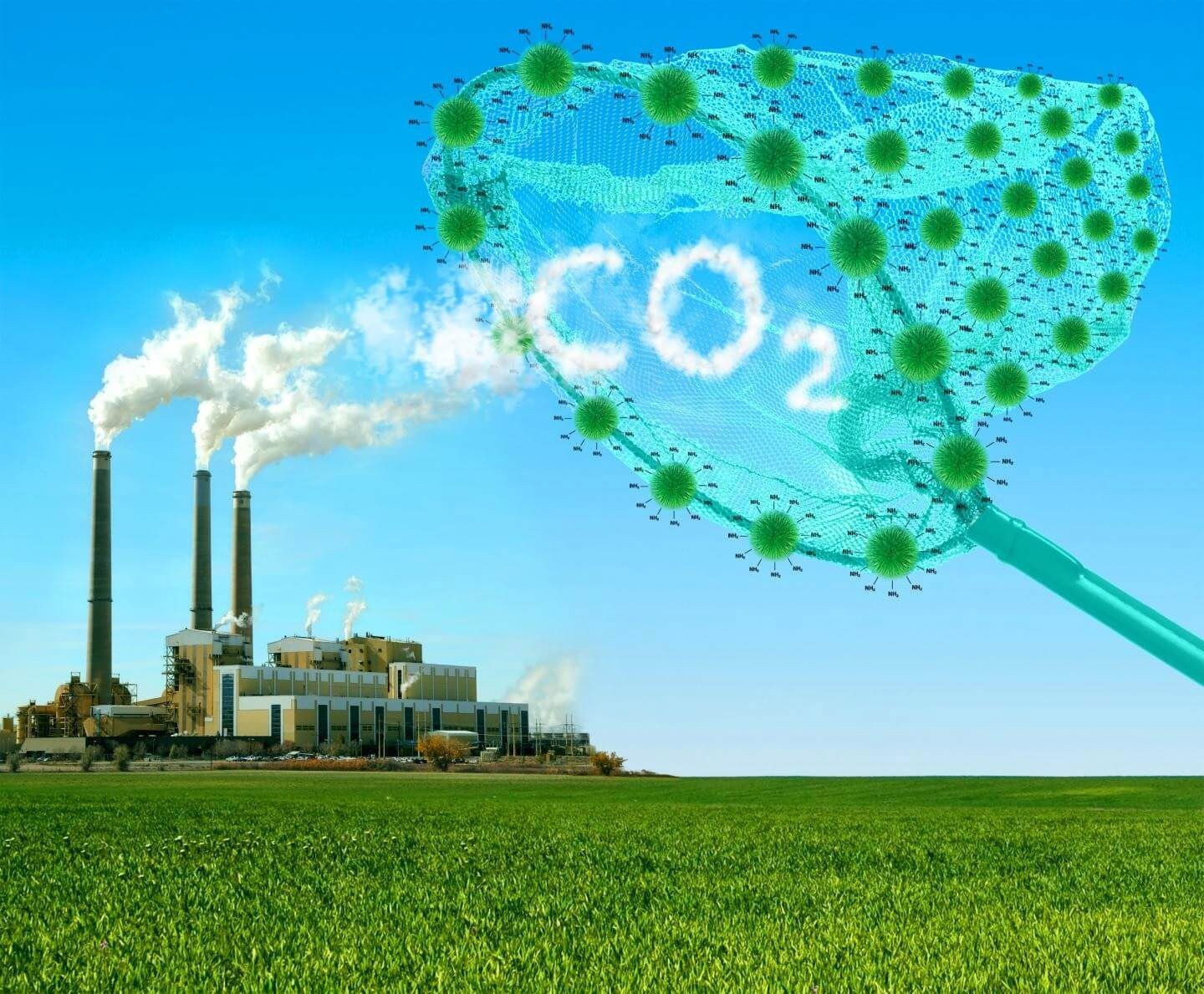 Năm 2023, thị trường tín chỉ khử carbon toàn cầu đã đạt mức tăng trưởng 2,7 tỷ USD. 