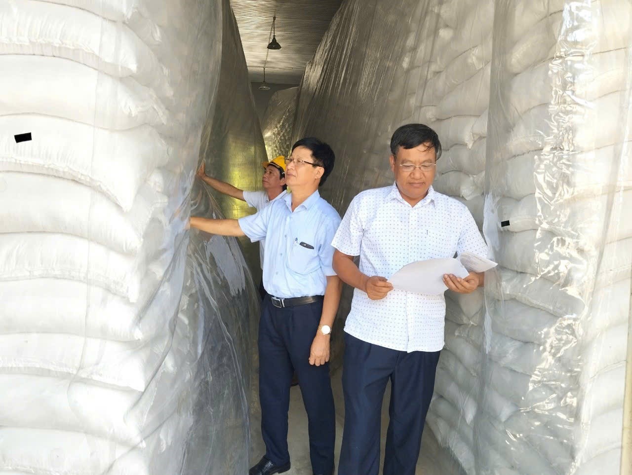 Cục DTNN khu vực Hà Nam Ninh tăng cường kiểm tra, giám sát bảo quản hàng DTQG tại các điểm kho, đảm bảo hàng hóa luôn an toàn, đủ về số lượng, tốt về chất lượng.