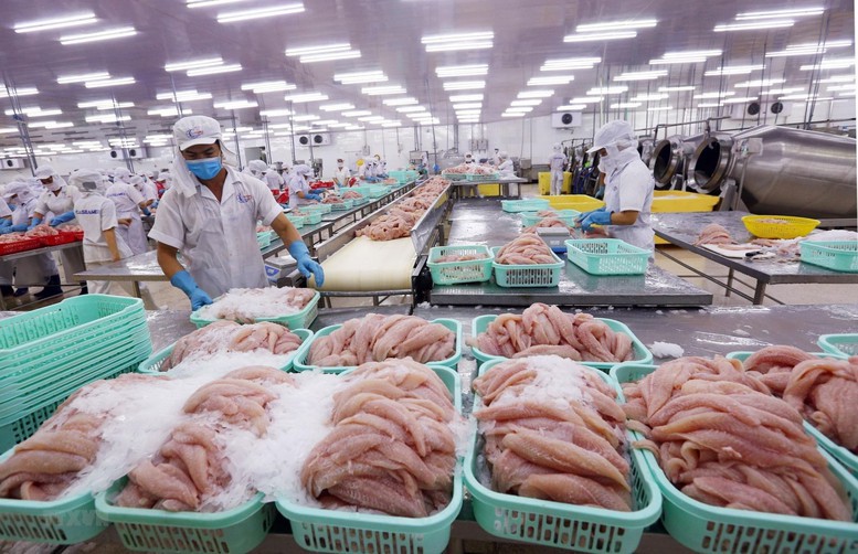 Tổng sản lượng thủy sản 10 tháng đầu năm 2024 tăng 2,5% so với cùng kỳ năm ngoái.