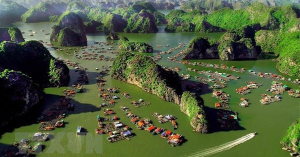 Quy hoạch bảo vệ môi trường xác định mục tiêu tổng quát là chủ động phòng ngừa, kiểm soát ô nhiễm và suy thoái môi trường.