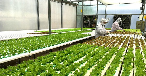 Bộ Tài chính đề xuất miễn thuế TNCN cho các khoản thu nhập đặc thù liên quan đến lĩnh vực ưu tiên. Ảnh: Internet.