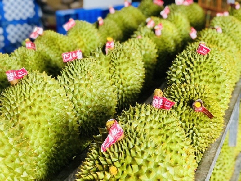 Sầu riêng tiếp tục là nhóm hàng xuất khẩu mang về kim ngạch lớn nhất của nhóm hàng rau quả
