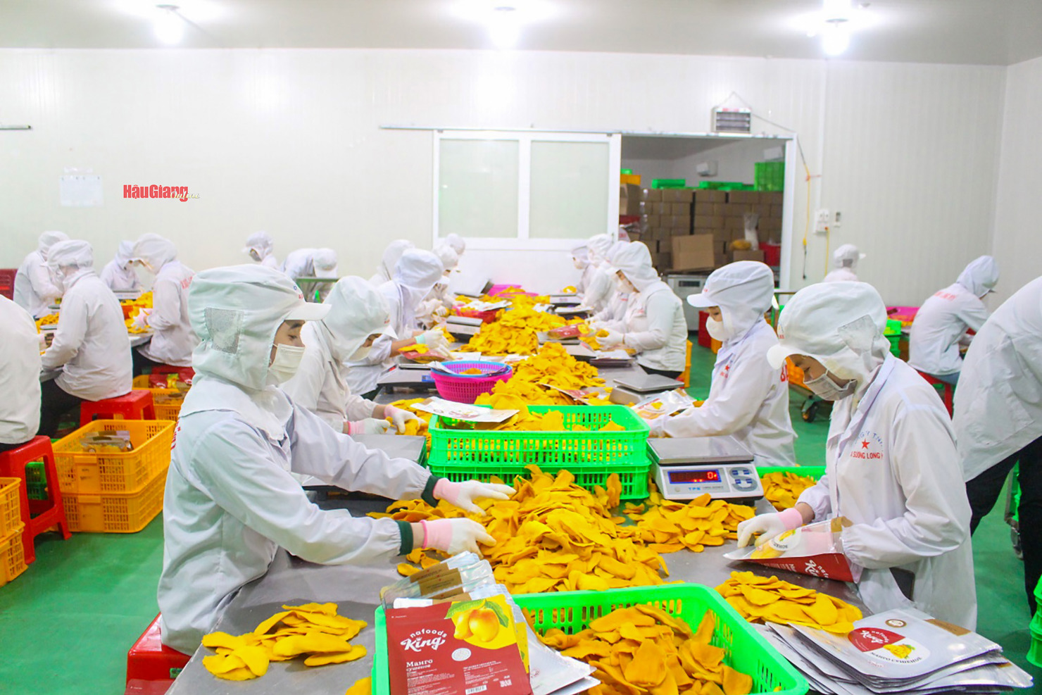 Có khoảng 95% công nhân đã quay trở lại làm việc tại Công ty TNHH Ba Sương - Long Mỹ với tinh thần phấn khởi. Ảnh: Y Linh