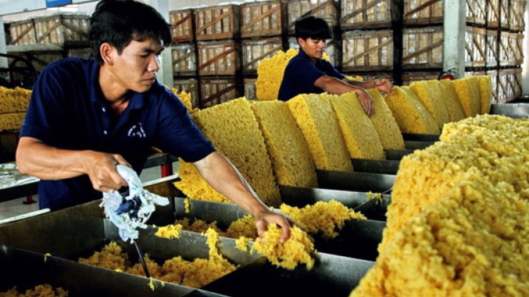 Tháng 1/2025, xuất khẩu cao su giảm 23,7% về lượng nhưng vẫn tăng 0,6% về trị giá so với cùng kỳ năm trước. Ảnh: Internet