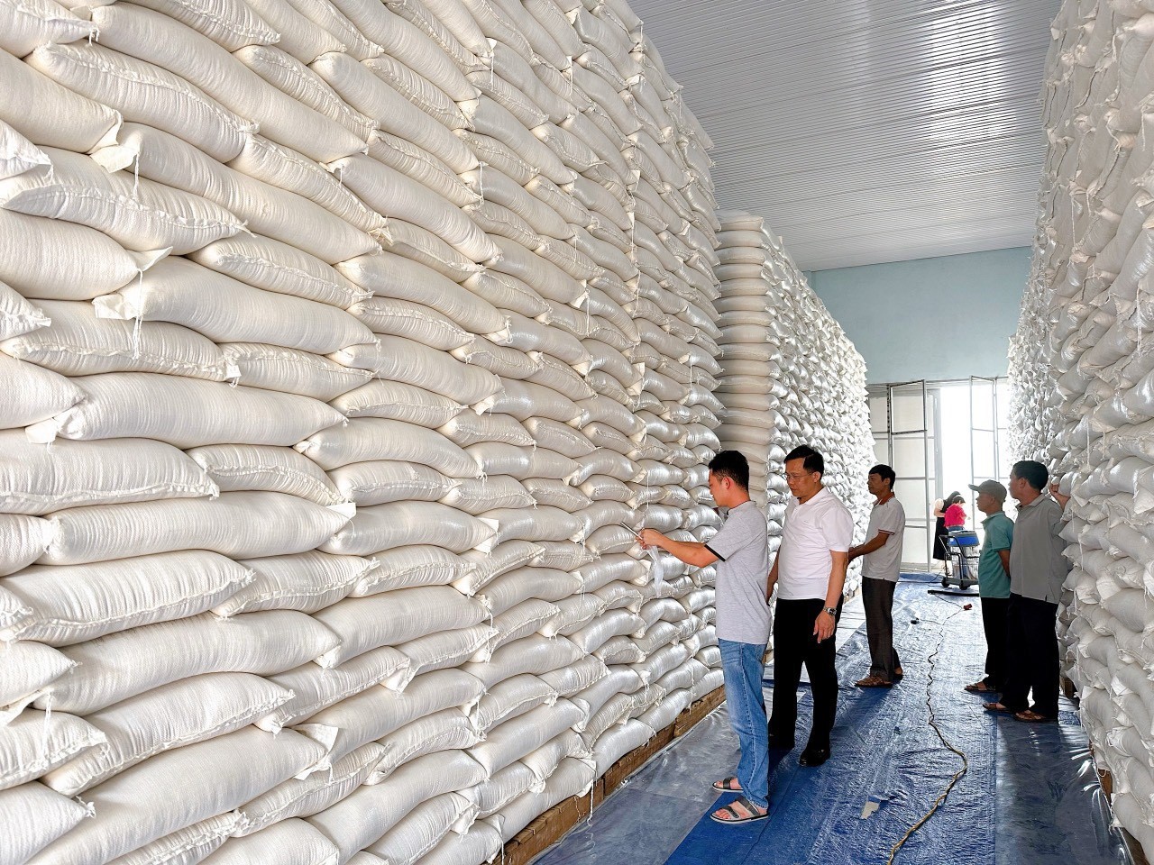 Đảm bảo công tác xuất cấp và bảo quản hàng dự trữ quốc gia được thực hiện kịp thời.