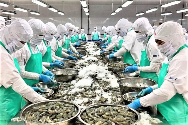 Xuất khẩu thủy sản đạt kết quả nổi bật được 2,29 tỉ USD và tăng 18%