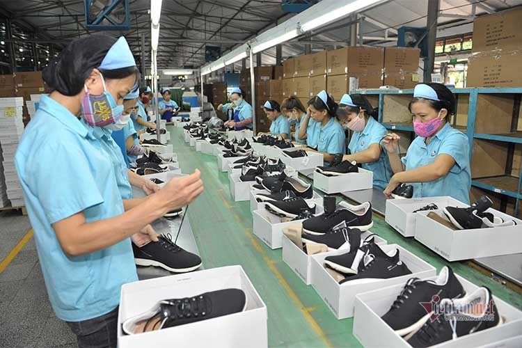 Các doanh nghiệp, các hiệp hội ngành nghề cần xây dựng kịch bản ứng phó khác nhau, tìm kiếm các giải pháp để duy trì khả năng cạnh tranh.