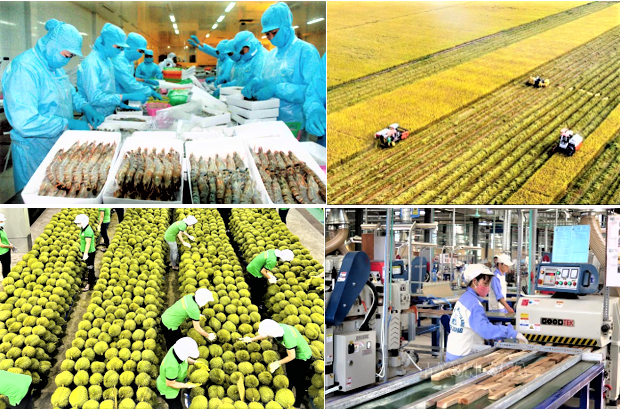 Ngành Nông nghiệp phấn đấu mục tiêu tăng trưởng 4% trở lên.