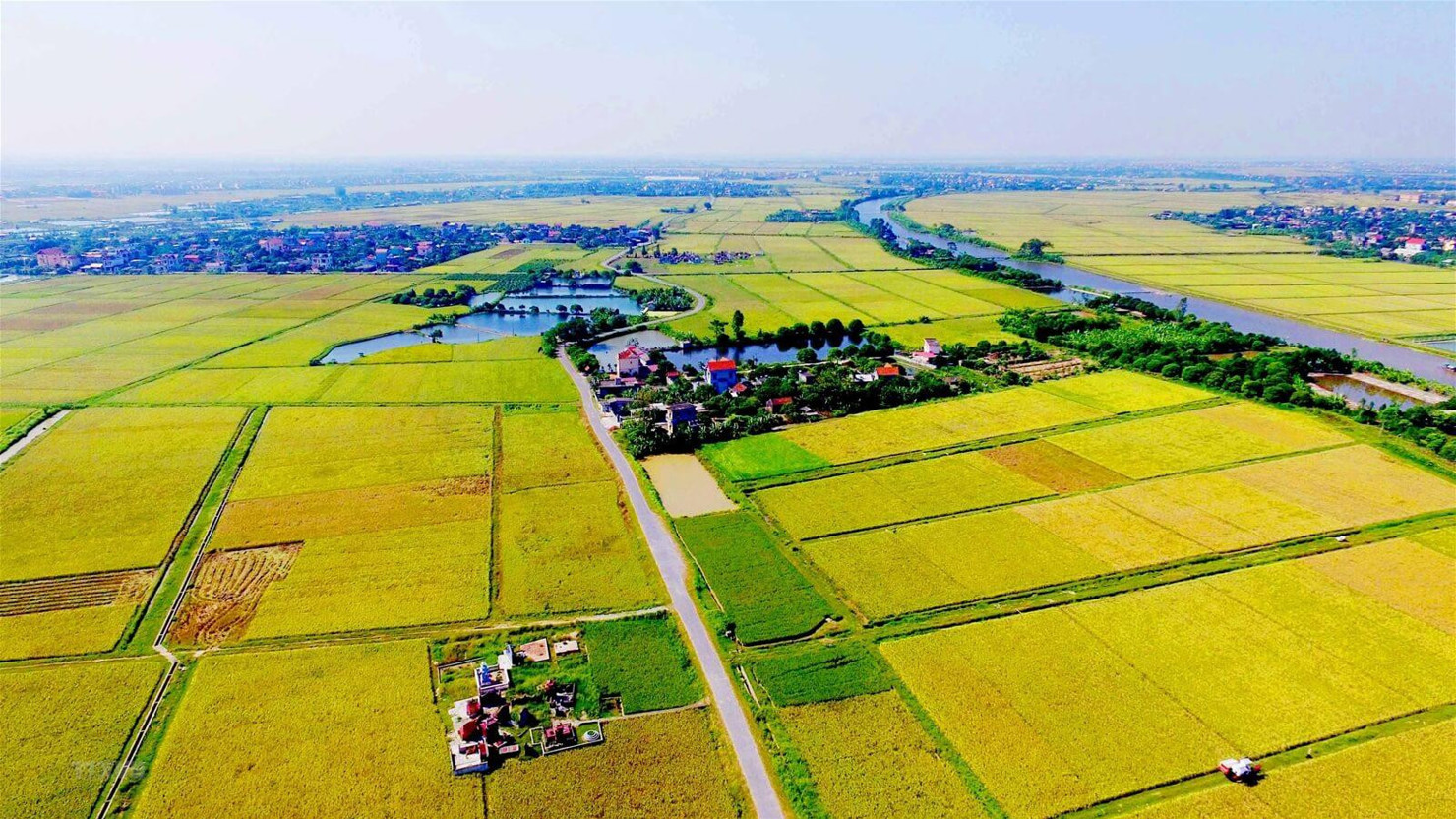 Chính sách miễn, giảm thuế sử dụng đất nông nghiệp (SDĐNN) được thực hiện từ năm 2001 đến nay. Ảnh: internet