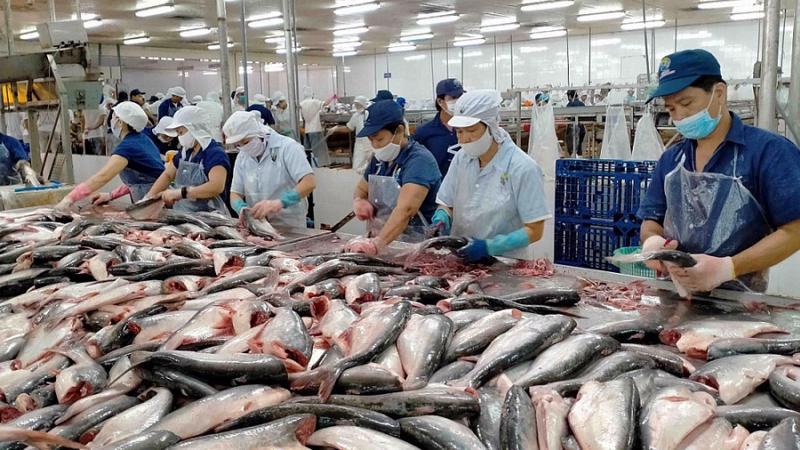 Chính phủ đã yêu cầu nâng quy mô chương trình tín dụng đối với lĩnh vực lâm sản, thủy sản lên khoảng trên 100.000 tỷ đồng.