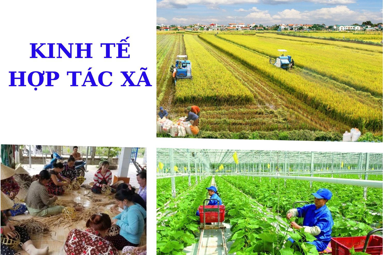 Ảnh minh họa. Nguồn: Internet
