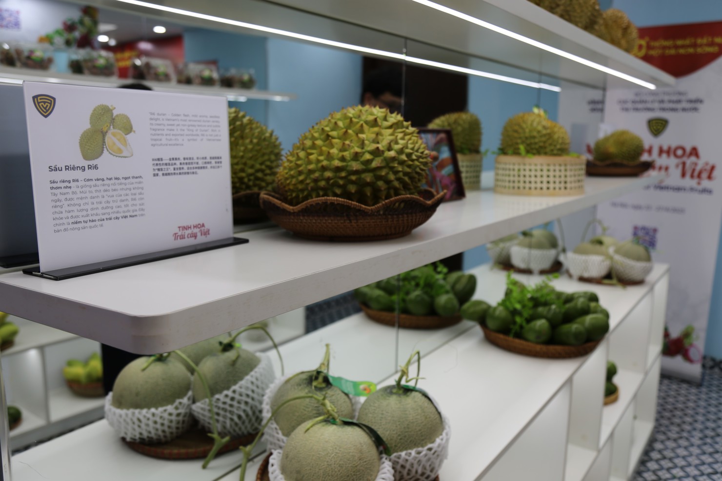 Không gian Phòng trưng bày chuyên đề với chủ đề “Tinh hoa trái cây Việt”. Ảnh: Quang Hùng