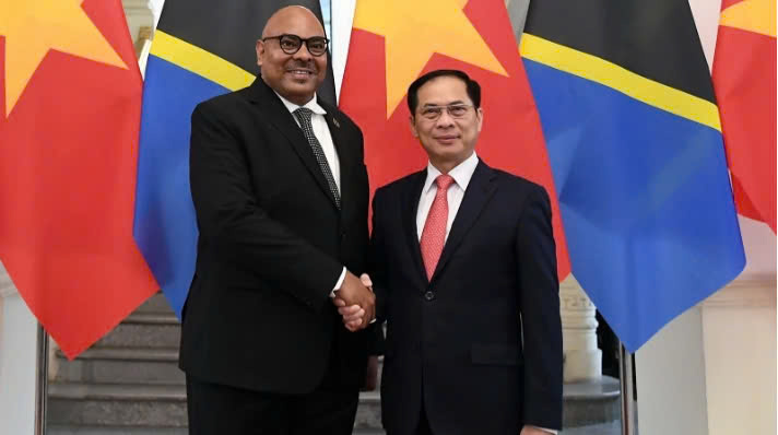 Phó Thủ tướng, Bộ trưởng Ngoại giao Bùi Thanh Sơn và Bộ trưởng Ngoại giao và Hợp tác Đông Phi nước Cộng hòa thống nhất Tanzania Mahmoud Thabit Kombo. (Ảnh: VGP)