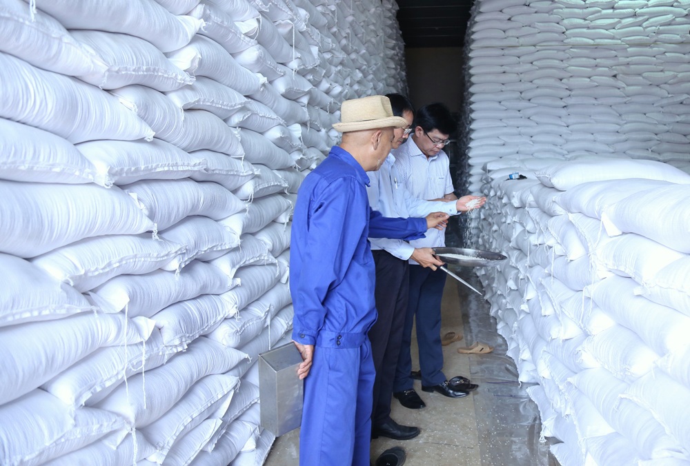 Đến ngày 4/6/2025, Chi cục DTNN khu vực II đã nhập kho 17.100/21.000 tấn gạo.