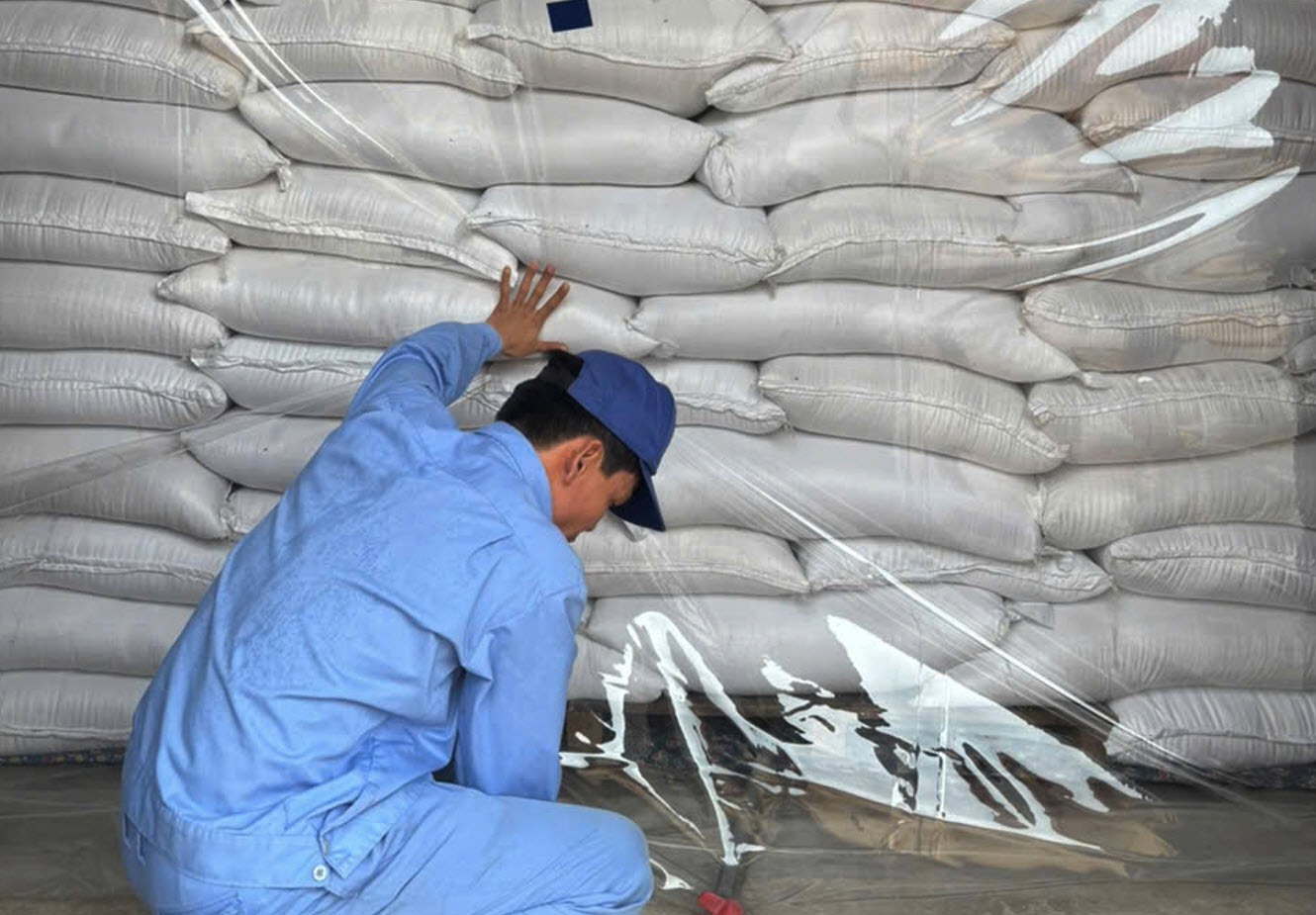 Cục Dự trữ Nhà nước yêu cầu các Chi cục Dự trữ Nhà nước khu vực: I, III, IV, V, VI, VII, VIII chủ động ứng phó với cơn bão số 3. Ảnh: Chi cục Dự trữ Nhà nước khu vực VII