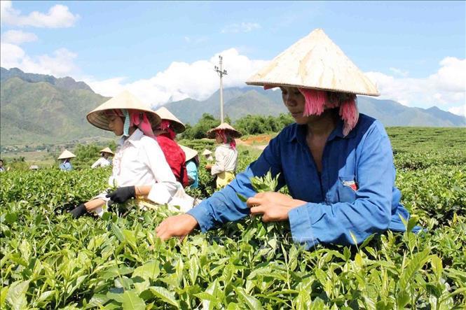 Chương trình mục tiêu quốc gia giảm nghèo bền vững còn chú trọng phát triển sinh kế và nâng cao chất lượng sống cho người dân.