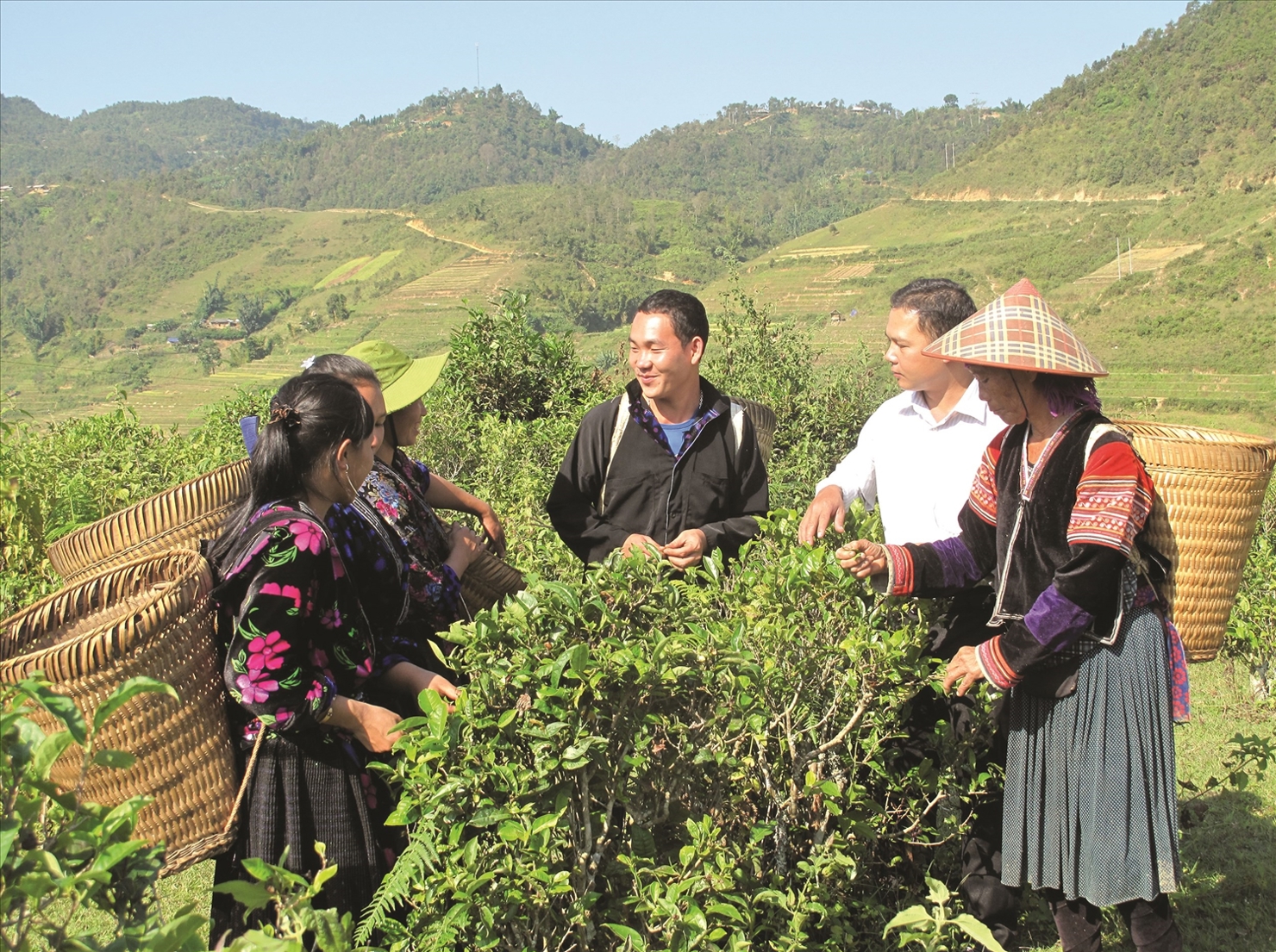 Các tiểu dự án đã góp phần nâng cao nhận thức, trách nhiệm của toàn xã hội về công tác giảm nghèo.