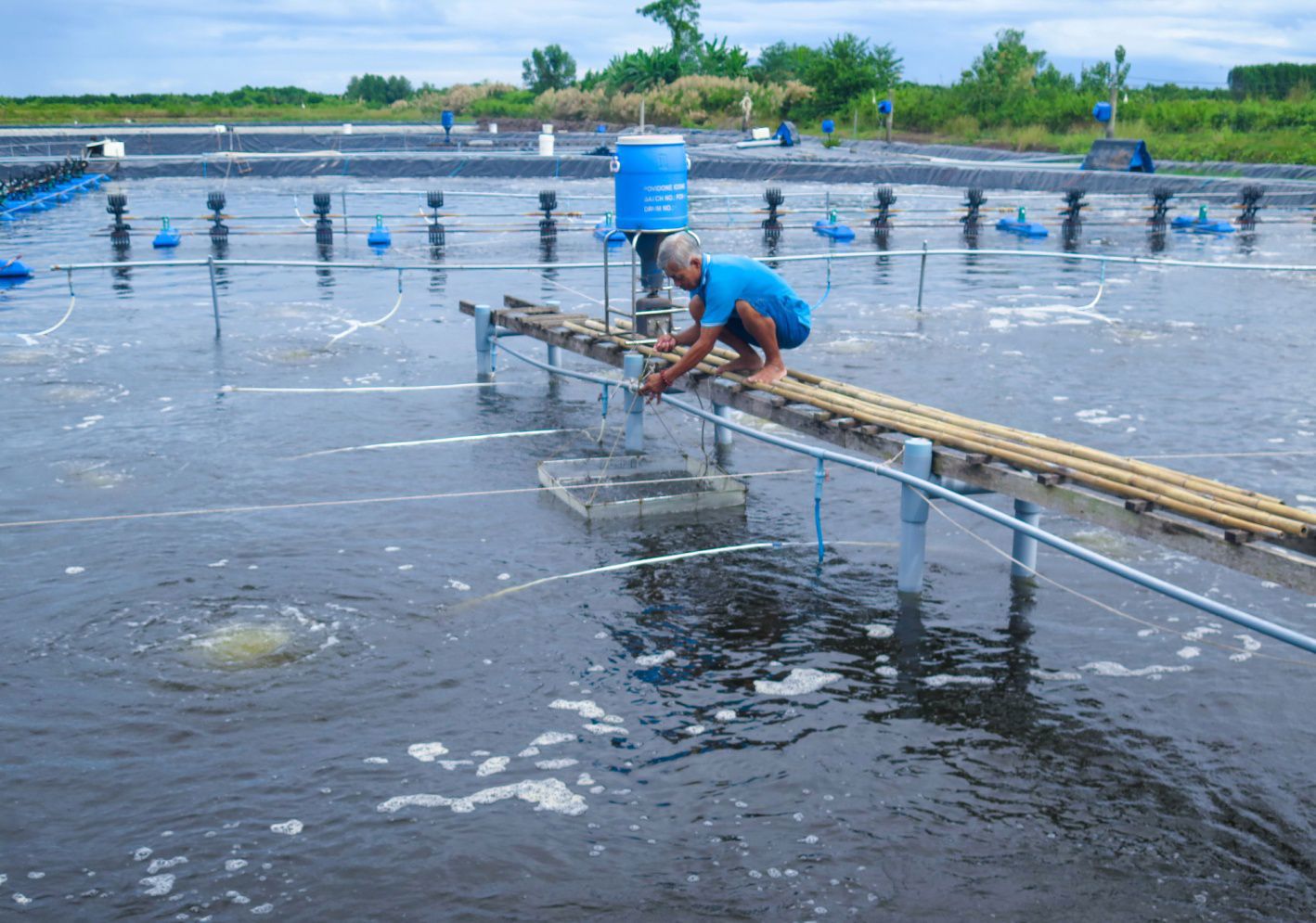 Ưu tiên nguồn vốn cho  hộ kinh doanh cá thể, doanh nghiệp nhỏ và vừa, đặc biệt là lĩnh vực nông nghiệp, thủy hải sản. Ảnh: Bích Ngọc