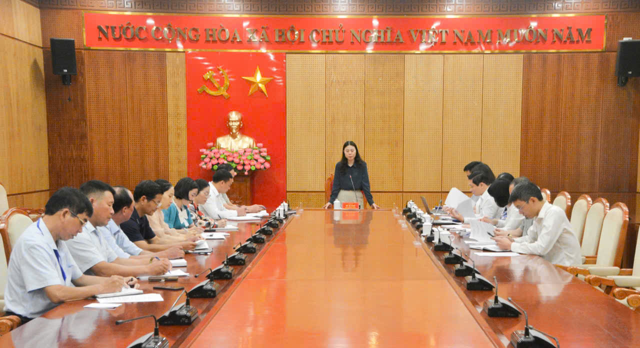 Phó Cục trưởng Cục Thống kê (Bộ Tài chính) Đỗ Thị Ngọc phát biểu tại buổi làm việc với phường Quảng Yên (Quảng Ninh) về công tác điều tra tại hộ.
