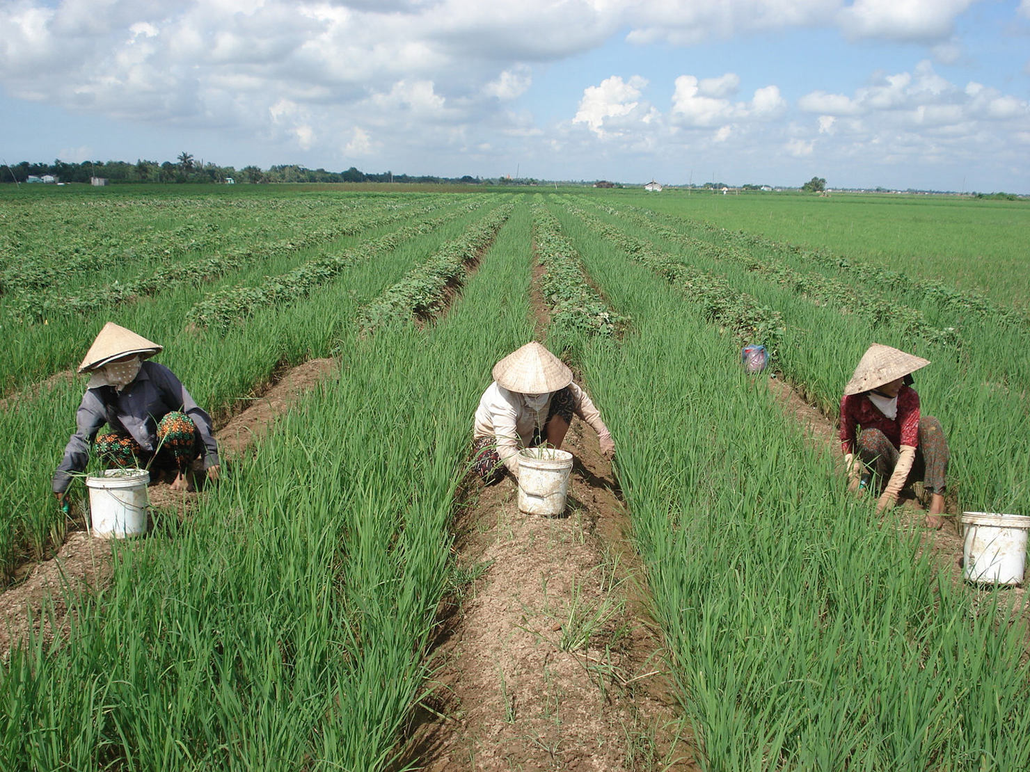 Tỉnh Hà Tĩnh ghi dấu ấn mạnh mẽ trong việc thực hiện Chương trình mục tiêu quốc gia giảm nghèo bền vững giai đoạn 2021–2025.