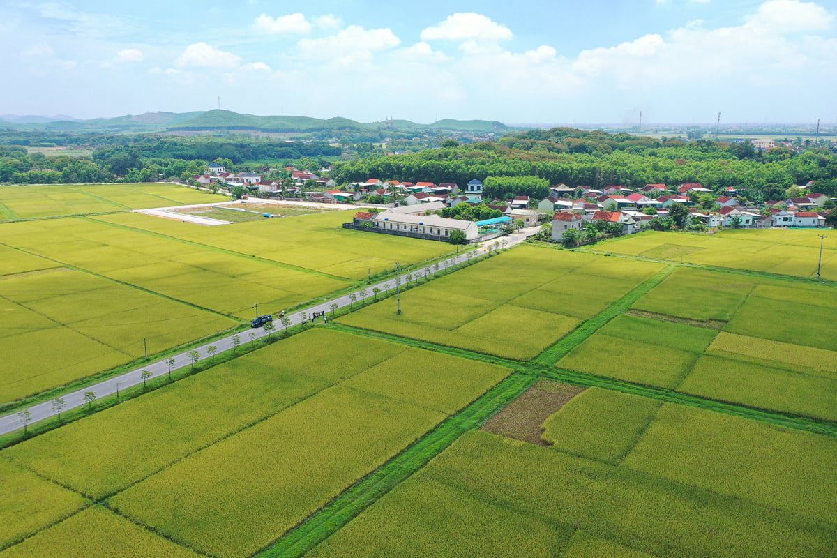 Bộ Tài chính dự thảo quy định tính tiền sử dụng đất khi chuyển đổi từ đất nông nghiệp sang đất ở.